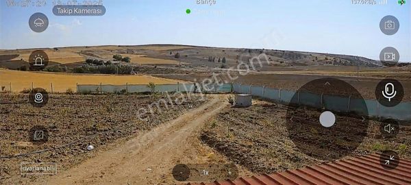 Sefa Emlak'tan Şefaatli Anayol Kenarı Çevrili Bağ Bahçe