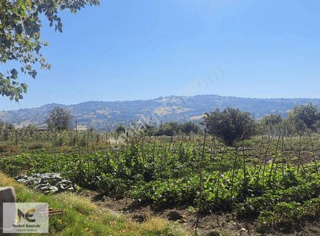 Gündüzlü'de İmarlı Arsa 2 Tane Yanyana 2.5 Kat 250m2 İmar Mevcut