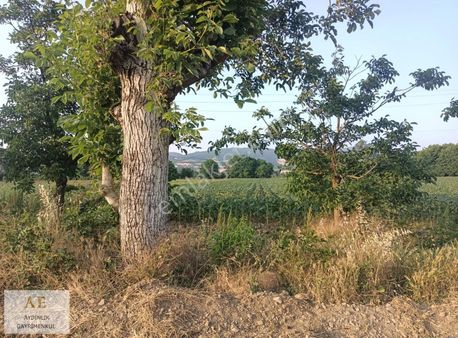 Bursa İnegöl Süpürtü Mahallesin'de Satılık Tarla