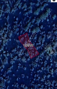 Satılık Zeytınlık Kucuk Parca