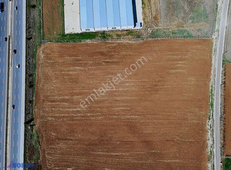 Ankara Temelli Olukpınar Yola Cephe Satılık Tarla