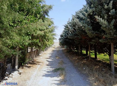 Gölbaşında Doğayla İç İçe Geniş Bahçeli Satılık 3+1 Çiftlik Evi