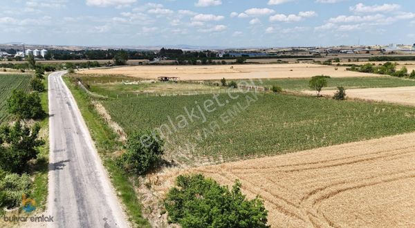 İnece Beldesine Yakın, Asfalt Cepheli, Yatırımlık Fırsat Tarla!