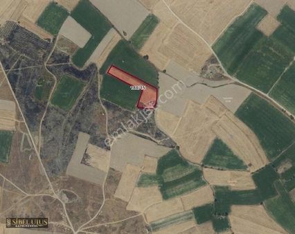 Akşehir Yazla Da Satılık 5844 M2 Tarla