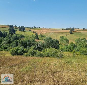 Gözel Gayrimenkulden İzmit Yenicede Ana Yola 2. Parsel 2 Dönüm