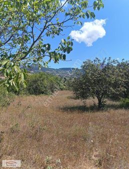 Geyve De Yatırım Fırsatı