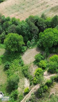 Gözde Emlak Geyve Çamlık Köye Yakın Resmi Yollu Hobi Bahçesi