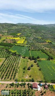 Gözde Emlak Eşme Mahallesi Resmi Yola Cephe Elektrik Su Mevcut