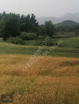 Muğla Seydikemer Korubükünde 9.200m2 Satılıktarla Açıklamayı Oku