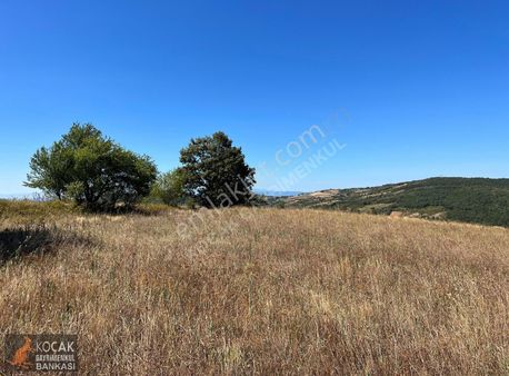 Hacıosmanda Yatırımlık Çiftlik Projelerine Uygun 26495 M2 Arazi