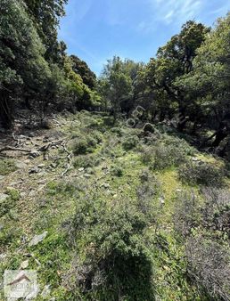 Notias Real Estate Gayrimenkul'den 2.786 M2 Tarla