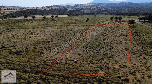 Notıas Real Estate Gayrimenkul'den 3.033 M2 Kapıkaya'da Tarla