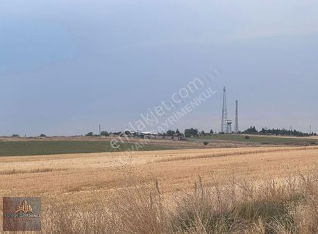 Yuvam Gayrimenkul'den 1035 M2 Müstakil Tapulu Tarla
