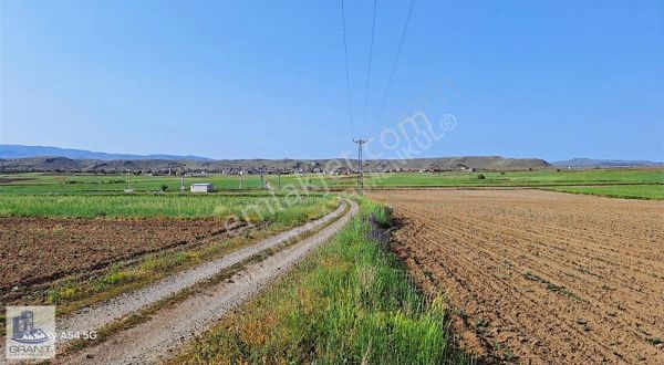 Kayseri Develide Koye 1.4 Km Tek Tapu 26 Bin M2 Tarla