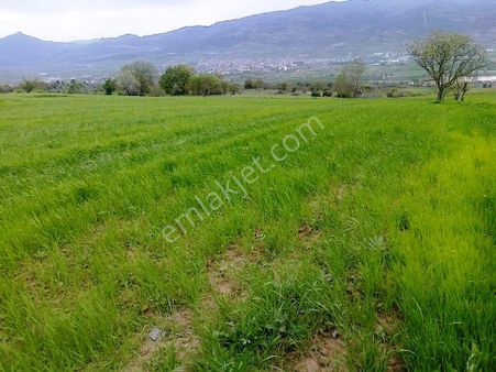 Enez Keşan Yoluna Cephe 40 Mt.sondaj Kuyulu 14000m2 Satılık Arsa