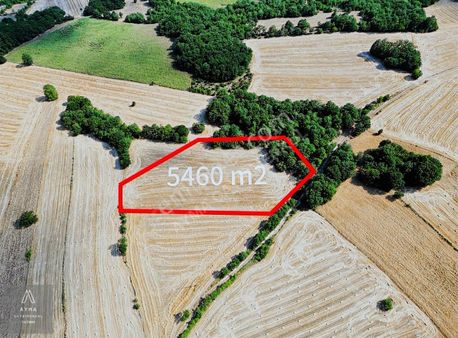 Ayma'dan Çavuşköyde Yatırımlık 5.460 M2 Tek Tapu Tarla