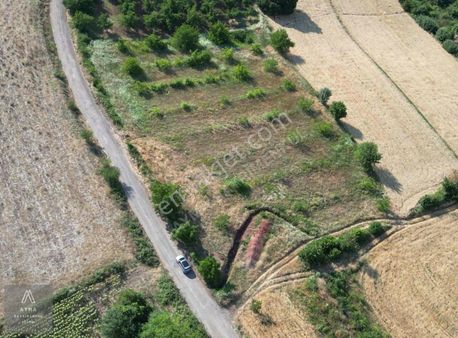 Ayma'dan Halhalca'da Ana Yola Cephe Tek Tapu Fırsat Tarla