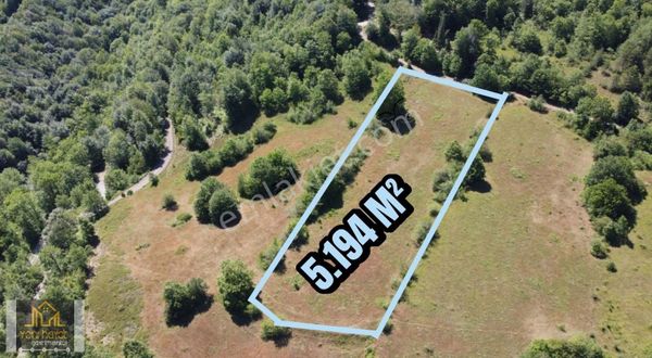 Mahmur Dağı Bilmece Köyünde Satılık 5.194 M² Tarla