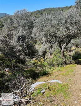 Tuana Emlak'tan Ekincik Koy'unda 5381m² 2-b Arazi