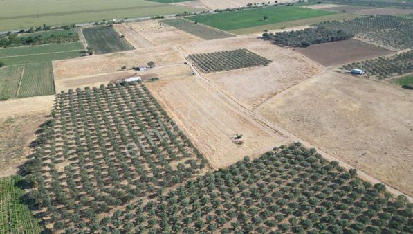 Cb.route'dan Bergama Organize Sanayinin Yanında Satılık Tarla