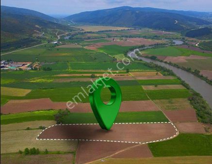 Cb Focus'tan Karacabey / Akçasusurluk'ta Satılık Hobi Bahçesi