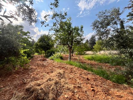 Çakır’dan Yeşilkentte İmar İçi Bağ Evi
