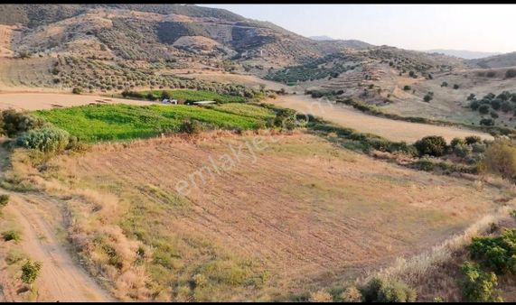 Su Emlak’tan Kırtepe’de Satılık Zeytinlik