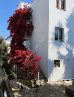 Premar Datça Özbel'de Denize Çok Yakın 1+1 Bahçe Katı Daire