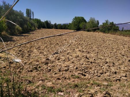 Yasin Emlaktan Aydın/karacasu İlçesi Esencay Köyünde Duz Tarla