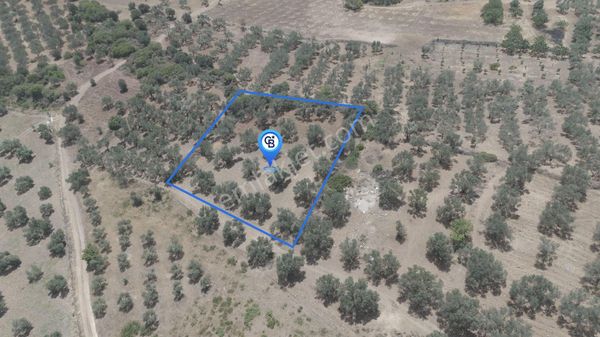 Aliağa Helvacı Köyü'nde Satılık Tarla