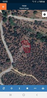 Realty World Doğa Gayrimenkul Güvencesiyle Milas Akcalıda Satılık Zeytinlik