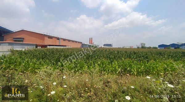Paris'den 31dönüm E5 Yatirimlik Satlik Arazi