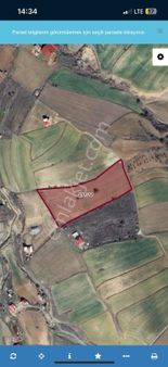 Hersek Salkaya'da Kelepir Tarla