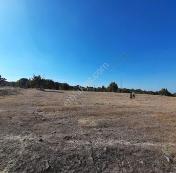 Neşe Emlak Tan Çanakkale De Satılık Tarla