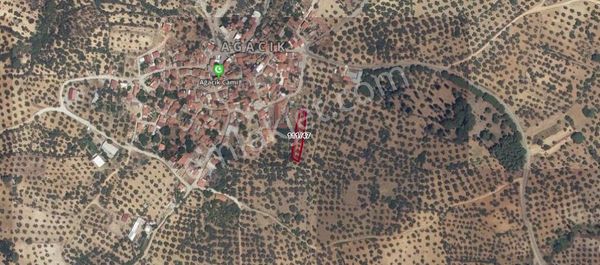 Buse Emlaktan Burhaniye Ağacıkta Yatırımlık Zeytinlik