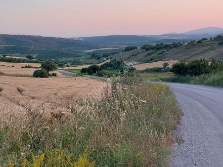 Bursa Karacabey Çamlıcada Anayola Yakın Satılık Yatırımlık 2000m2 Tarla