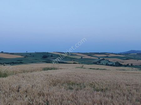Bursa Karacabey Çamlıcada Anayola Yakın Satılık Yatırımlık 14600m2 Tarla