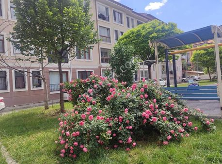 Asel'den Çarşı 1+1 Eşyalı-arakat Güney Cephe Kiralık Daire