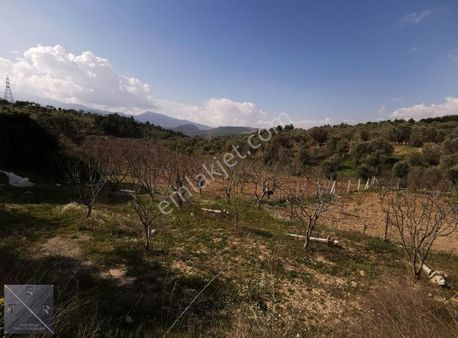 Tsr'den Bergama İsmailli'de Her İşe Uygun Satılık Tarla