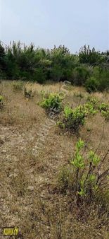 Çolaklı Mah 6250 M2 Satılık İmara Yakın Tarla