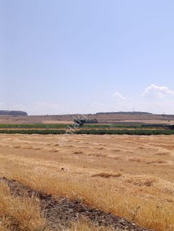 Turgutlarda Satılık Tarla