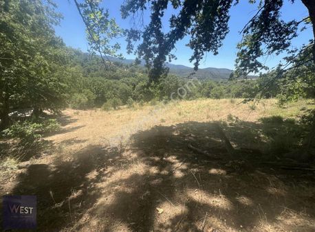 Bayramiç Karaköy Yola Cephe Doğa Manzaralı Tarla