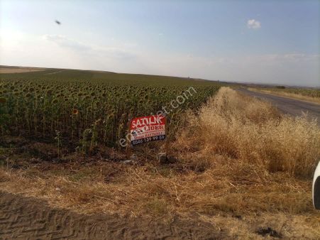 K.eli L..burgaz Seyitler Köyü Arpalık Mevkinde Anayola Sıfır Köşe (38.800 )m2 Lik Tarla Satılıktır