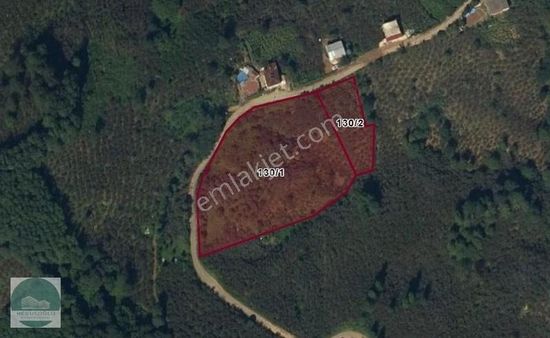 Resuloğlu Emlak-perşembe Tepeköyde Çok Geniş Arazi