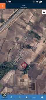 Bursa Harmanlı Karacabeyde Satılık Tarla