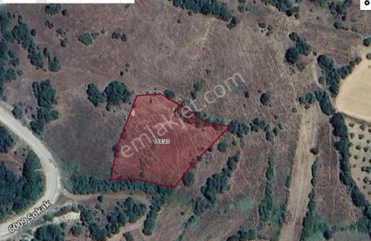 Balıkesir Sındırgı Aslandede Köyünde 2.809 M2 Satılık Hobı Bahçesi