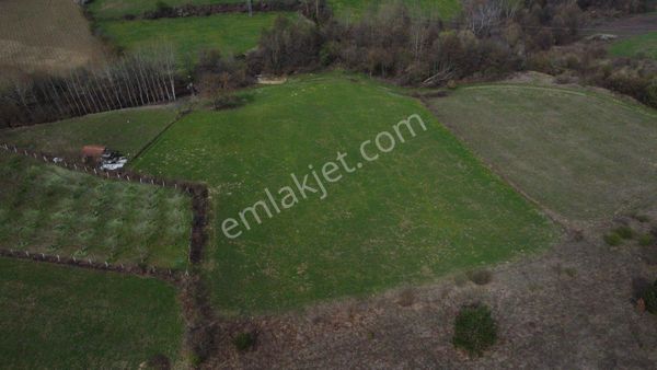 Satılık Tarla İnegöl Hayriye Mah