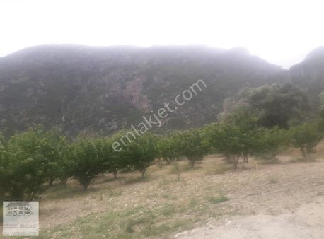 Yatırımlık Çok Güzel Bır Tarla Koye Yakın