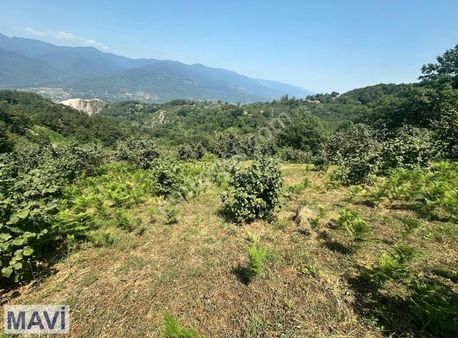 Re/max Mavi'den Akyazı'da Yatırımlık İmarlı Arsa