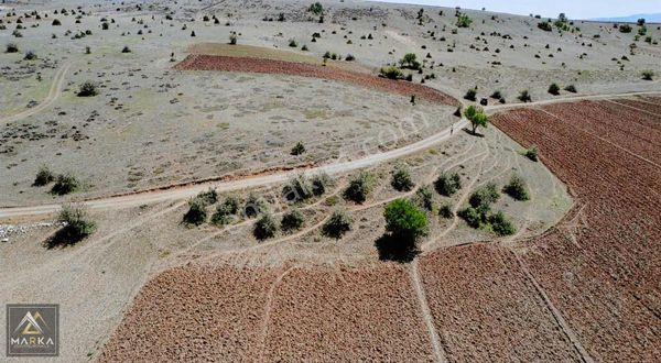 Marka'dan Turgutlarda Kadastral Yolu Cephe 1285 M2 Tarla